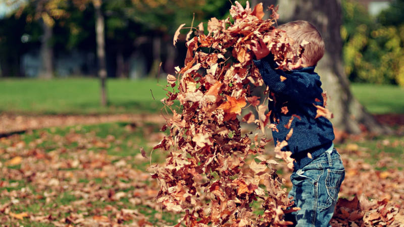 Jak spędzić jesień z dzieckiem