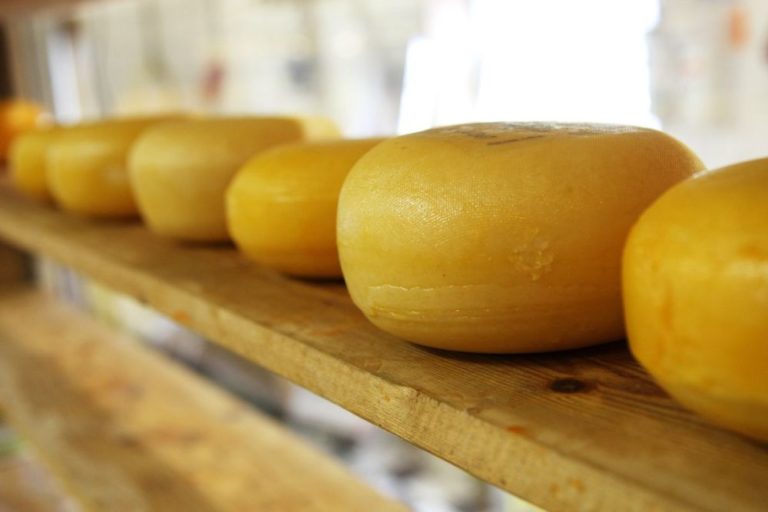 Najbardziej znane odmiany żółtego sera