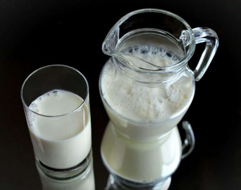 Mleko – co o nim wiemy?
