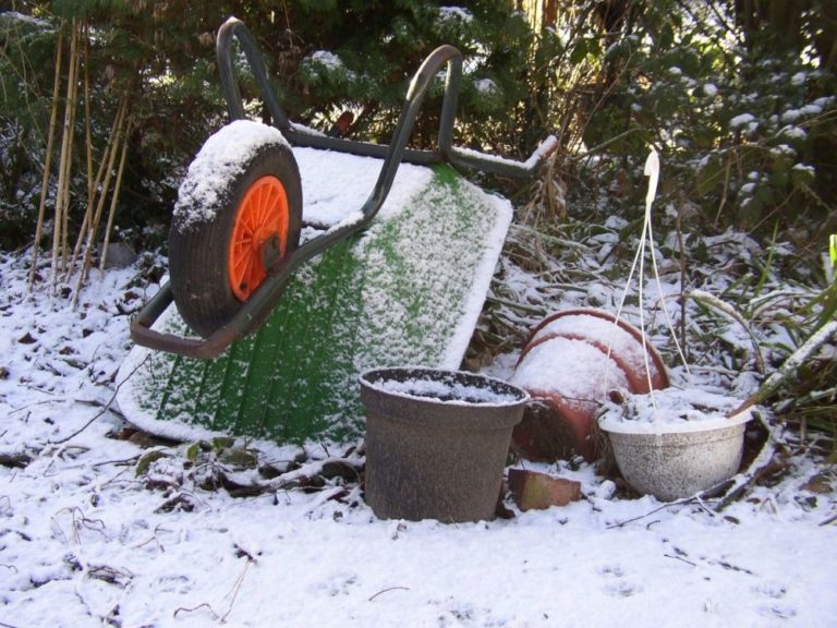 Jak dbać o ogród w zimie?