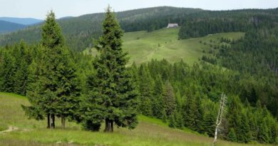 Turbacz – trasy warte zobaczenia turbacz